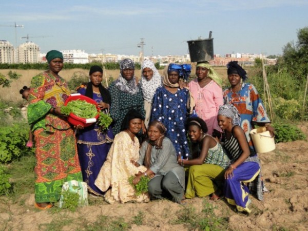 La Fundaci&oacute;n La Caixa premia el proyecto de CERAI “Mujeres Africanas en l’Horta”