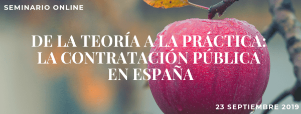 Seminario online sobre la contratación pública en España