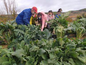 Educando por y para la Soberanía Alimentaria en el Valle del Manubles