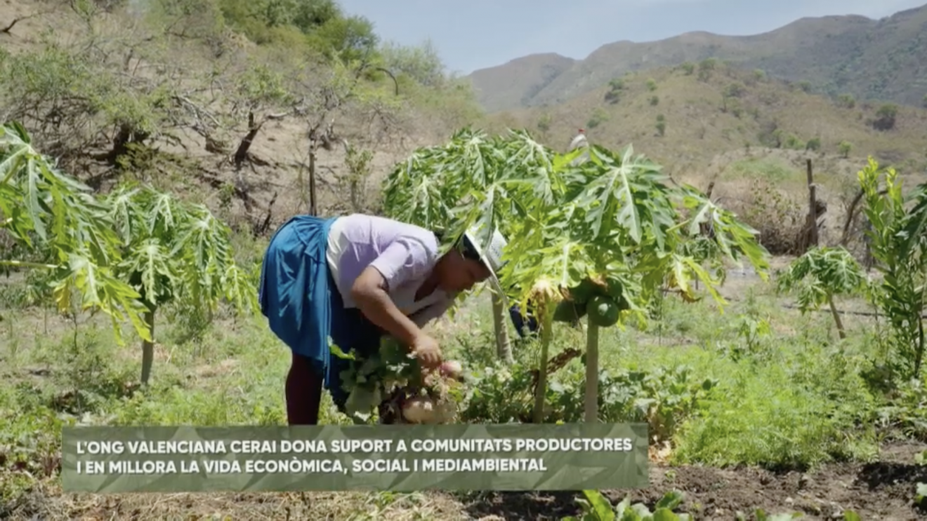 El programa Terra Viva visita los proyectos de CERAI en El Salvador y Bolivia