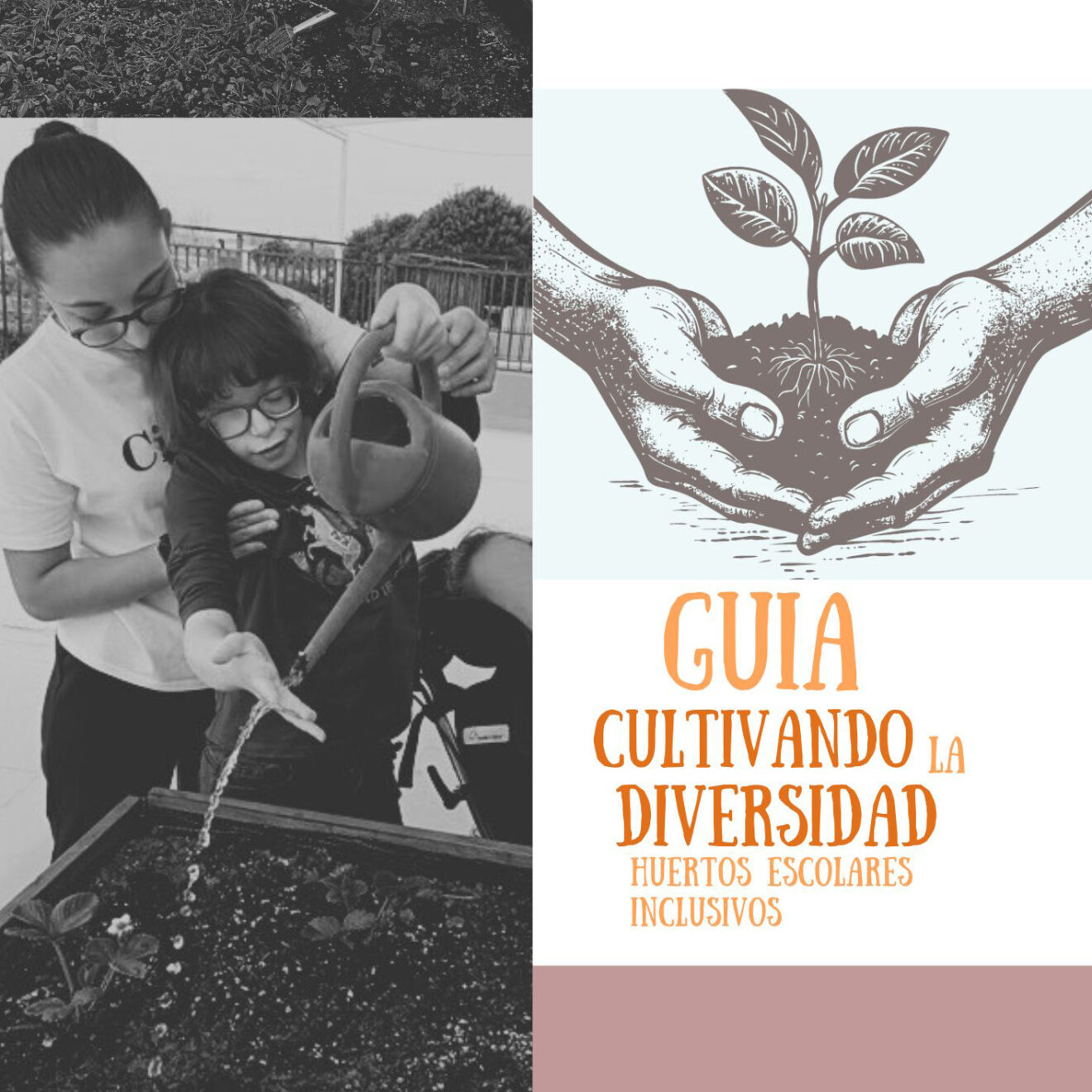 CERAI lanza la guía «Cultivando la diversidad» para generar huertos escolares inclusivos