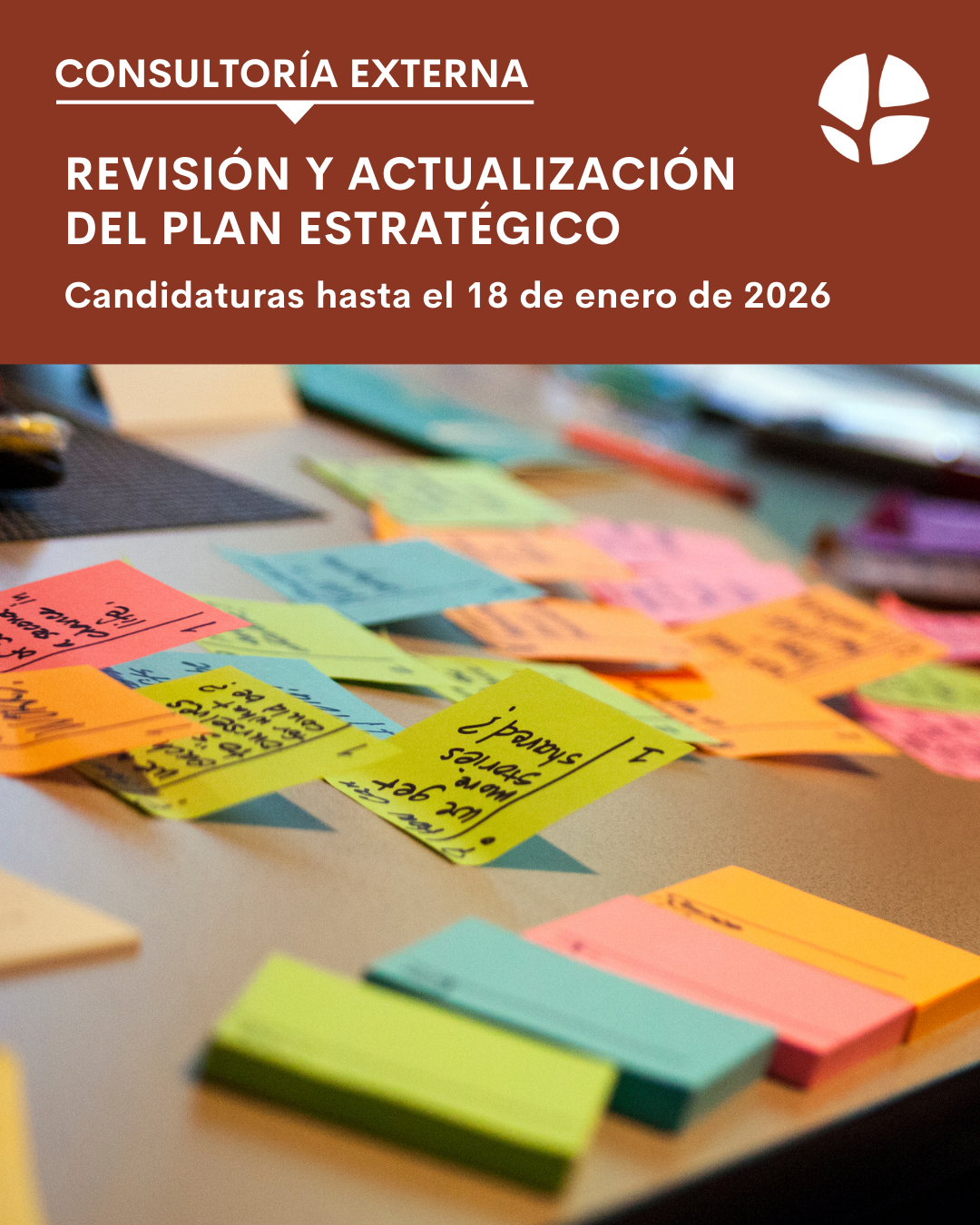 TdR Plan estratégico