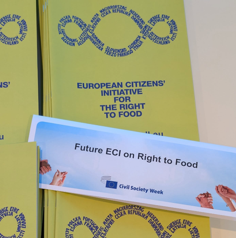 Captura de pantalla 2026-01-29 121241