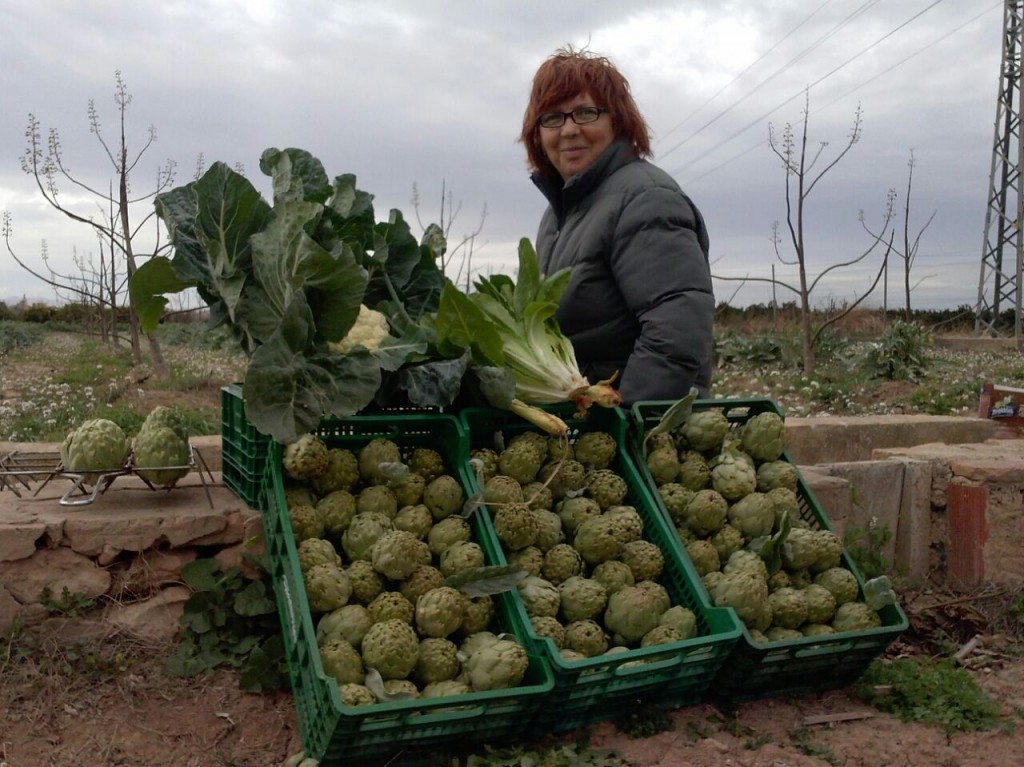 agroecología formación