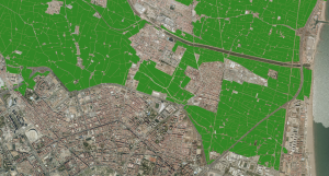 L'horta valencia