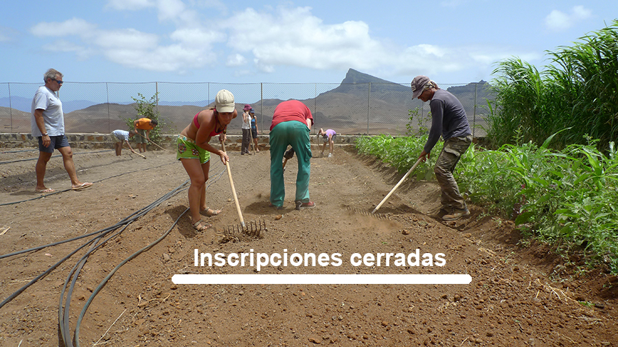 cabo verde capacitación inscripciones cerradas