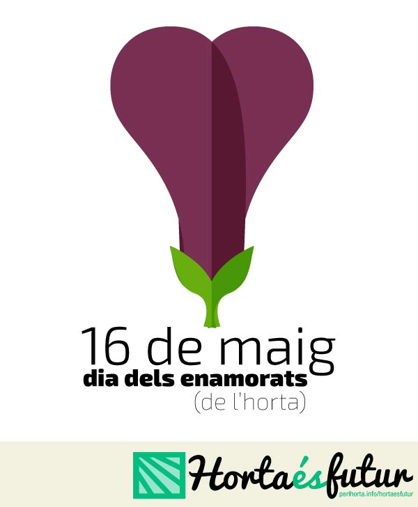16maig_diadelsenamorats-5