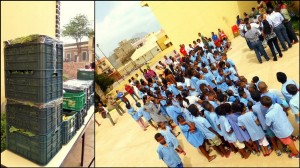 Entrega pública de produtos agricolas na Escola de Ribeira Bote-2