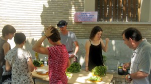 muestra zaragoza (4)