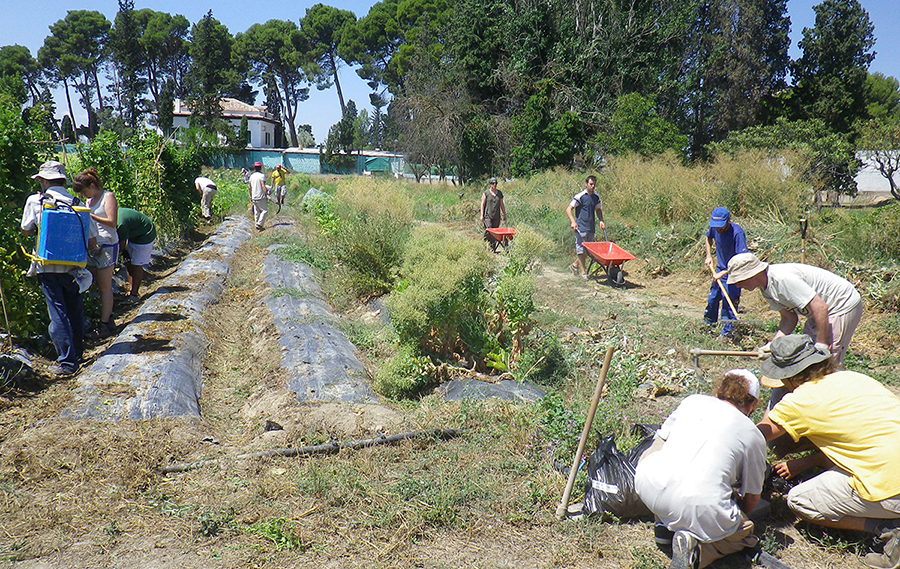 escuela agricola 2a fase-2