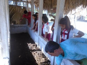 Cuba-haciendo humus de lombriz