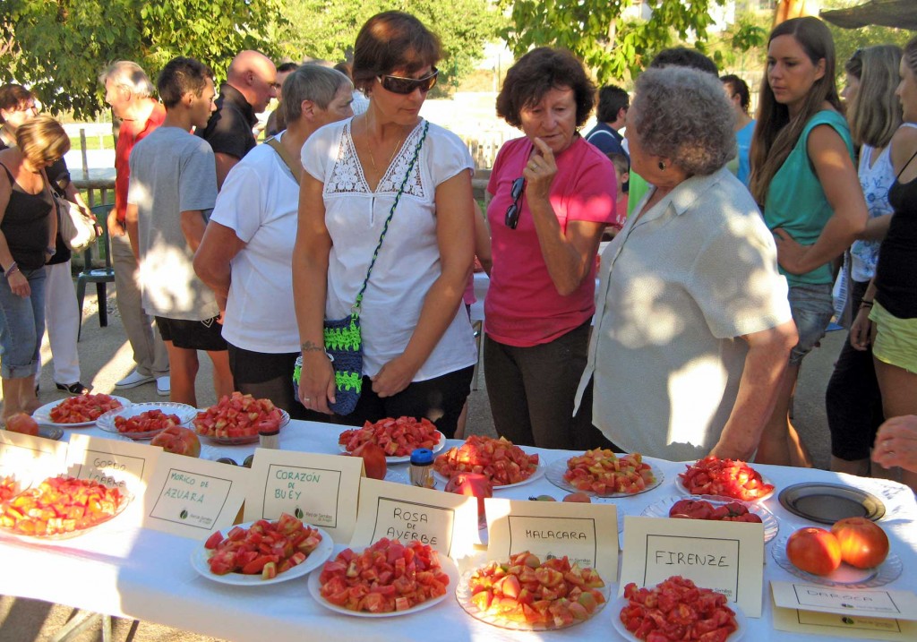 degustación-variedades-tomate