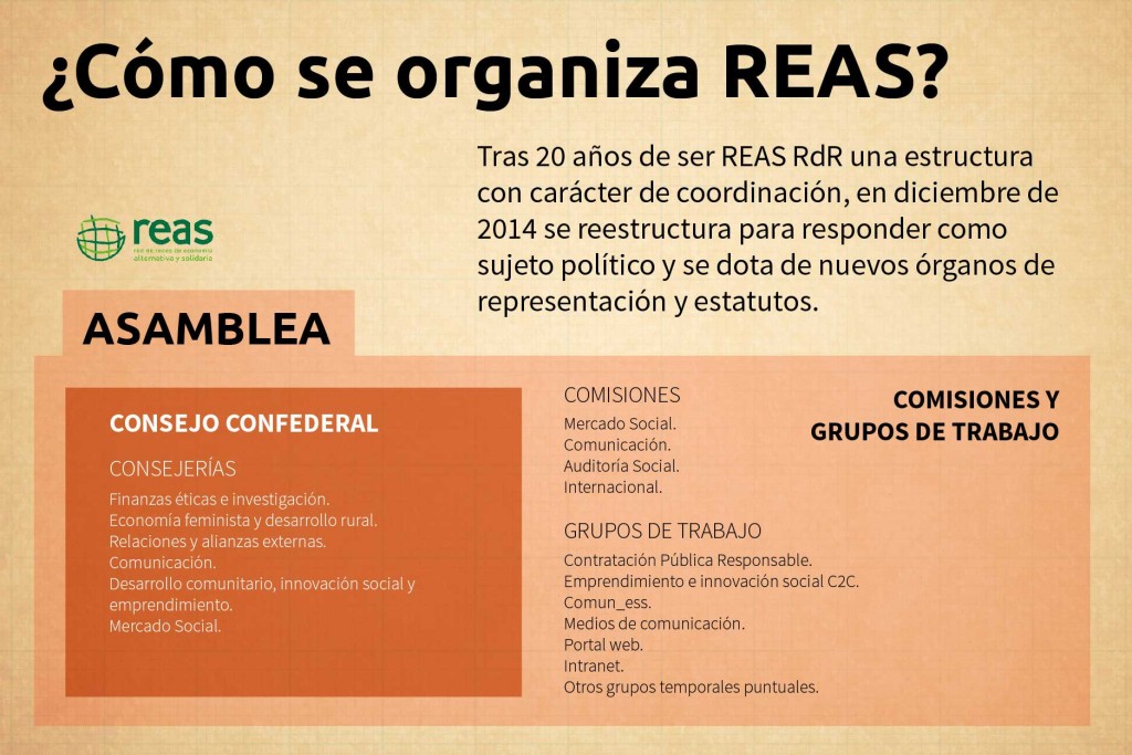 REAS-cómo-se-organiza