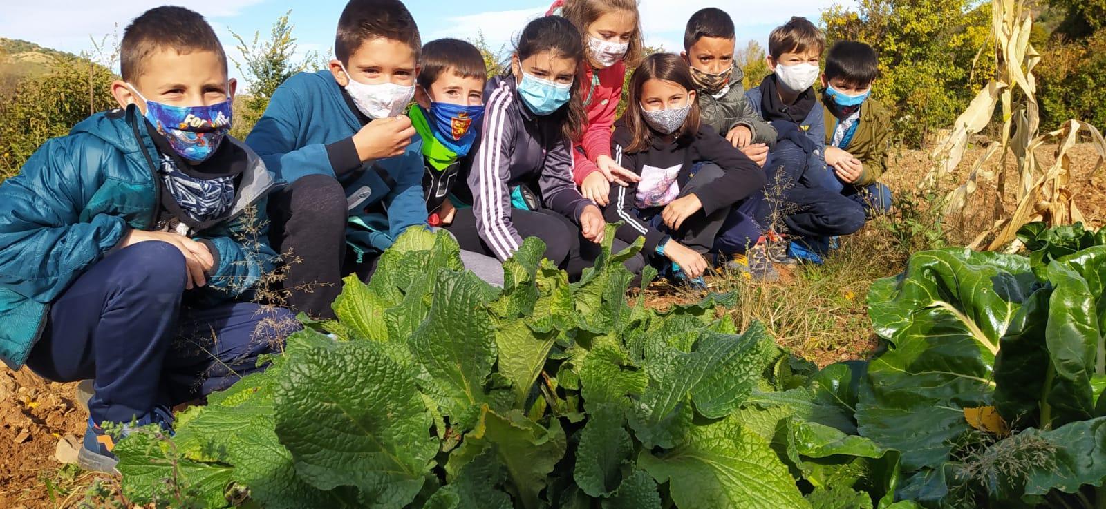 Educando por y para la Soberanía Alimentaria en el Valle del Manubles