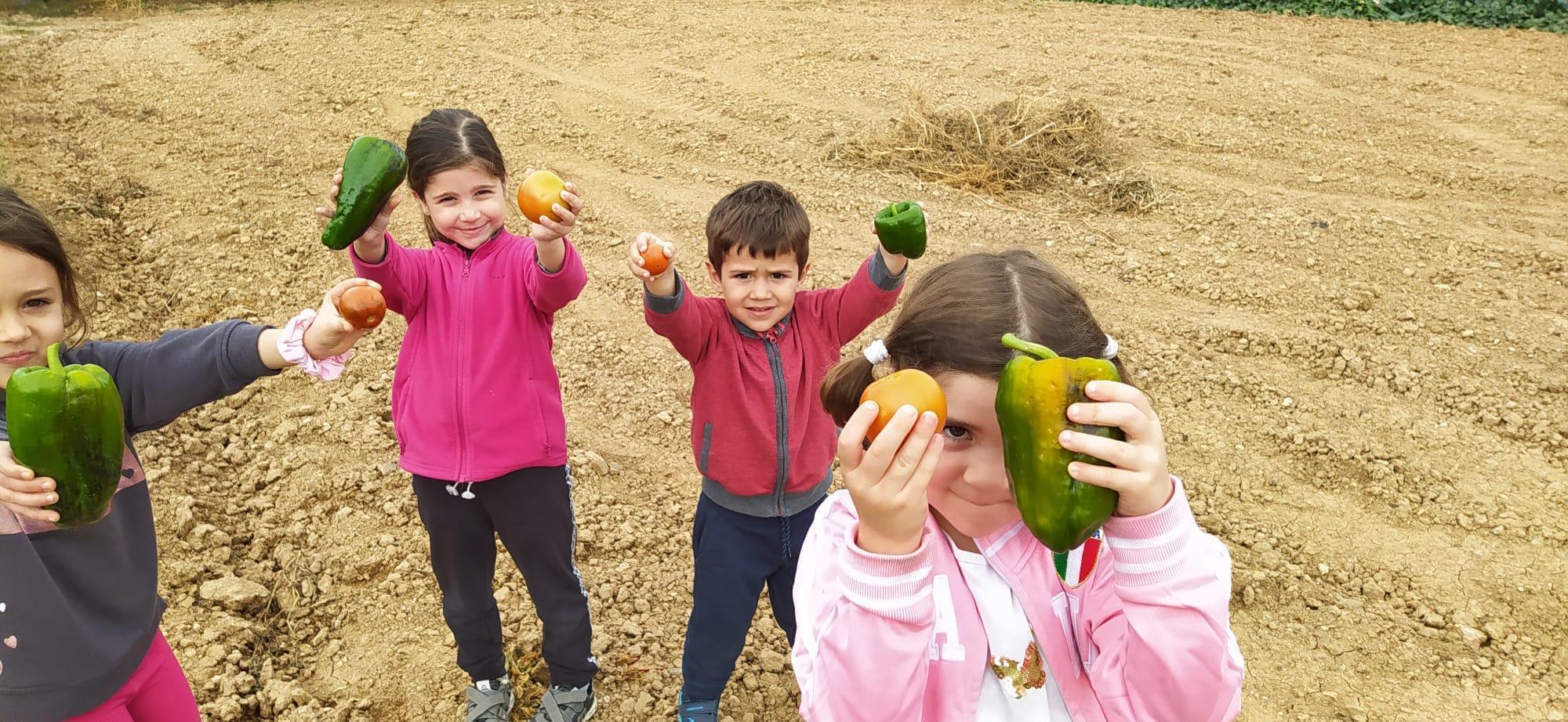 Educando por y para la Soberanía Alimentaria en el Valle del Manubles