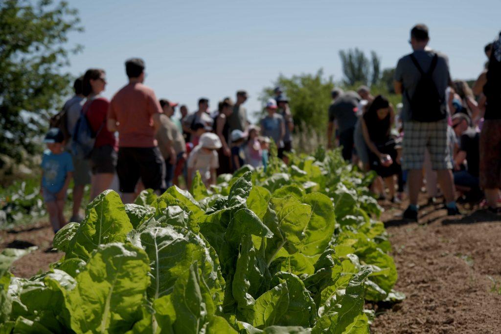 Proyecto Menús sanos, menús sostenibles. GARÚA y CERAI