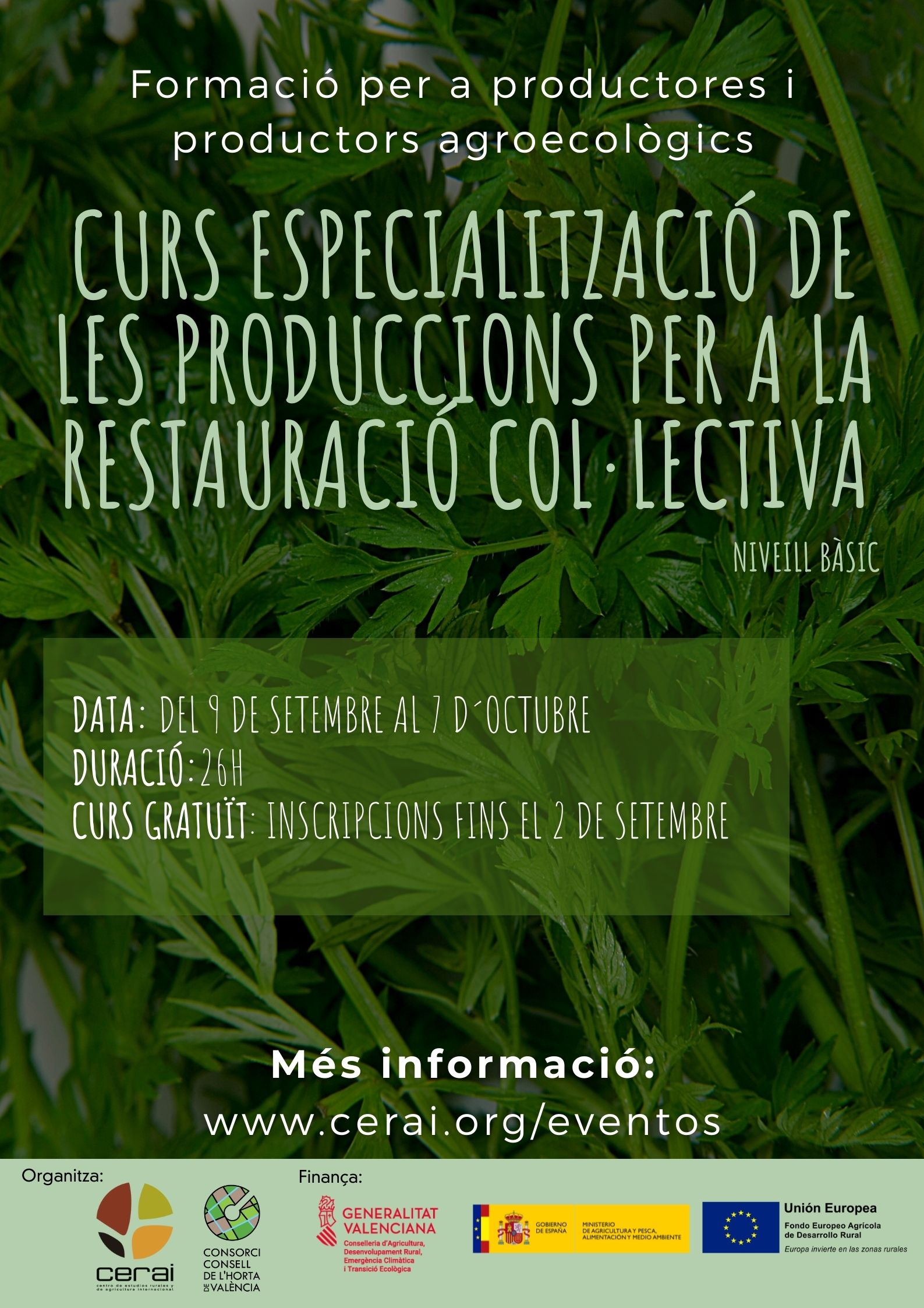 Curso: Especialización de las producciones para la restauración colectiva