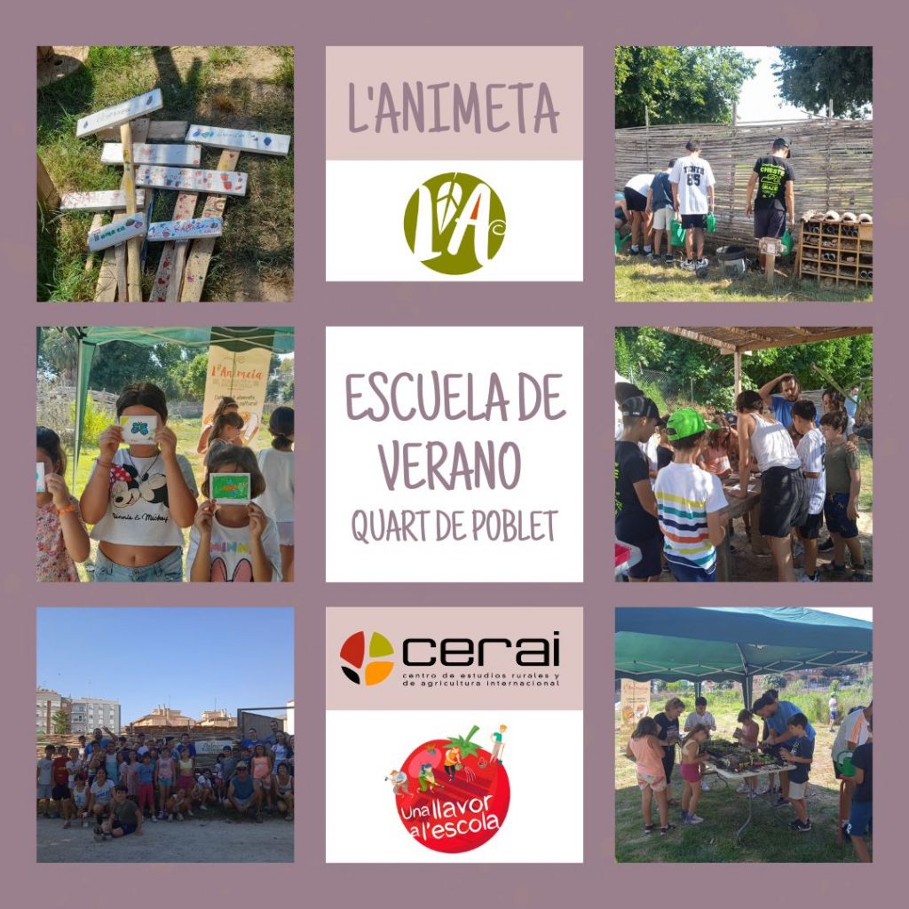 Taller en l'Animeta de Quart de Poblet