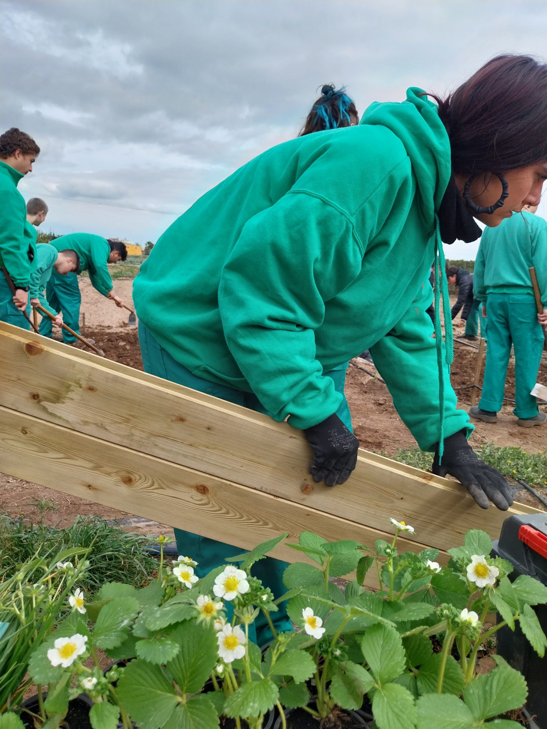 Iniciamos la cuarta fase de Una Llavor a l’Escola
