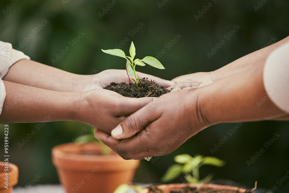 AdobeStock_951994223_Preview
